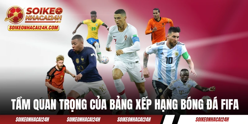 Tầm quan trọng của bảng xếp hạng bóng đá FIFA