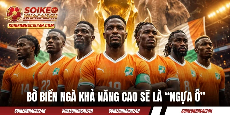 Đội tuyển Bờ Biển Ngà khả năng cao sẽ là “ngựa ô” năm nay