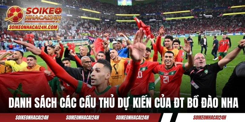 Danh sách các cầu thủ dự kiến của ĐT Bồ Đào Nha