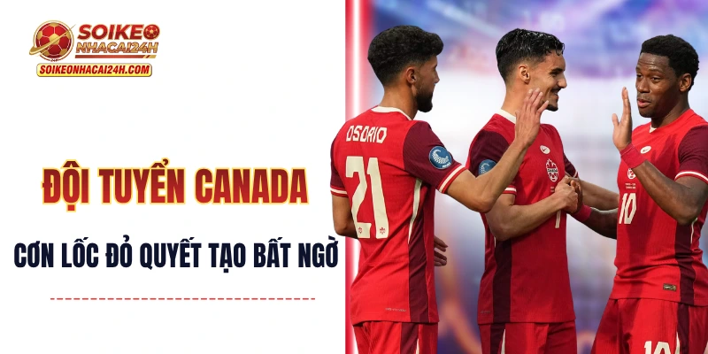 Đội Tuyển Canada - Cơn Lốc Đỏ Bắc Mỹ Cùng Thế Hệ Vàng
