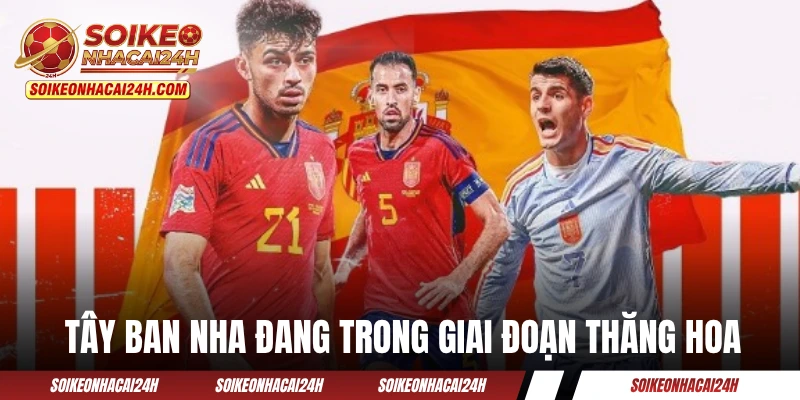 Đội tuyển Tây Ban Nha đang trong giai đoạn thăng hoa