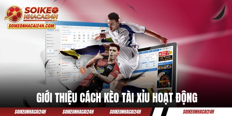 Giới thiệu cách kèo tài xỉu hoạt động trong bóng đá