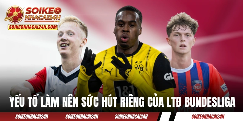 Một số yếu tố làm nên sức hút riêng của LTĐ Bundesliga 