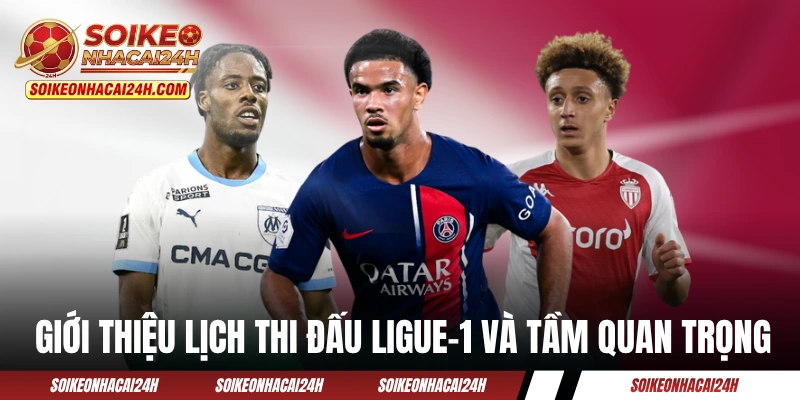 Giới thiệu lịch thi đấu Ligue-1 và tầm quan trọng