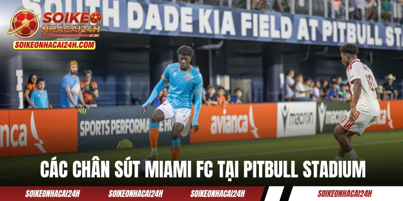 Các chân sút Miami FC tại Pitbull Stadium