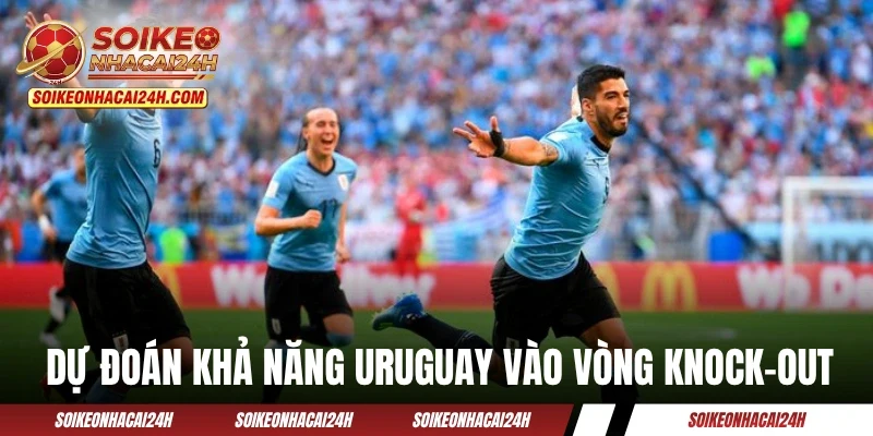 Đội Tuyển Uruguay: Phụ Thuộc Tài Cầm Quân Của Marcelo Bielsa? Dự đoán khả năng đội tuyển Uruguay vào vòng knock-out