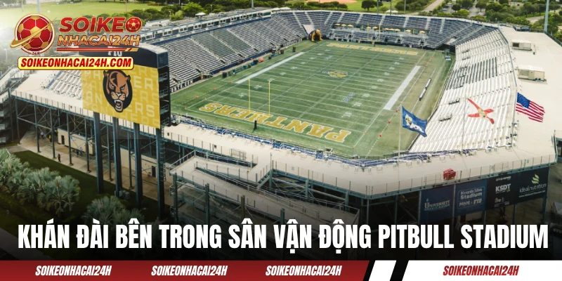 Khán đài bên trong sân vận động Pitbull Stadium