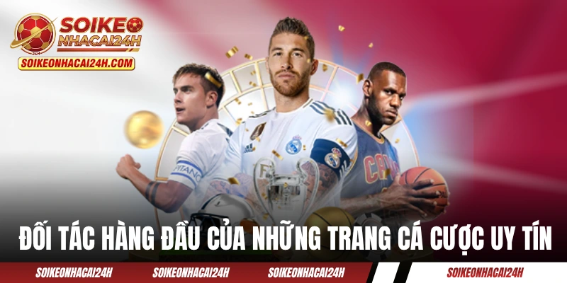 Các đối tác hàng đầu của những trang cá cược uy tín